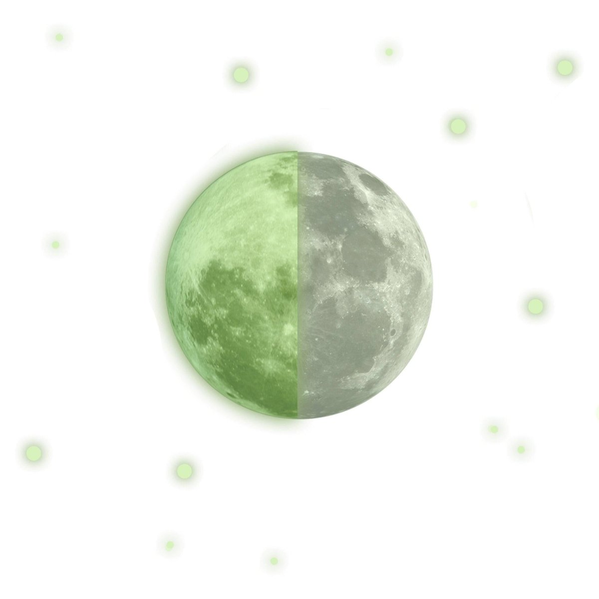 64920101