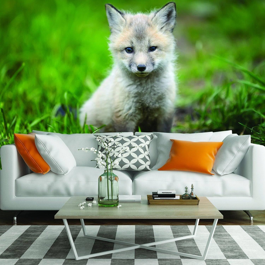 Cute Little Fox -seinätarra